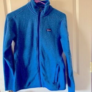 Patagonia Better Sweater